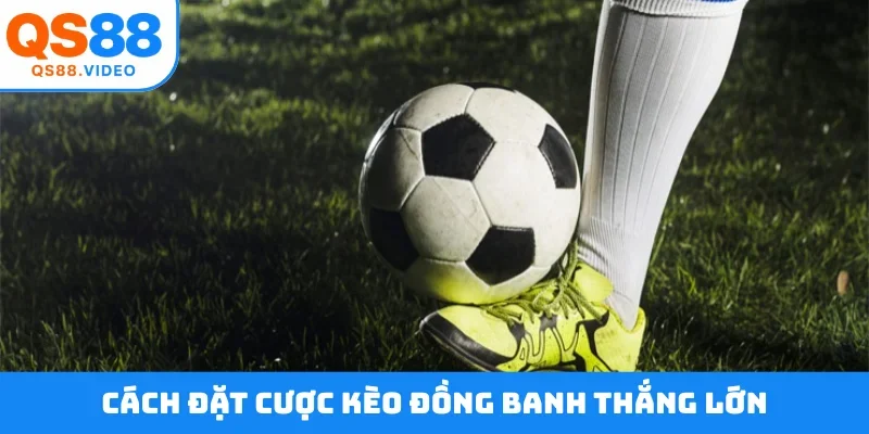 Cách đặt cược kèo đồng banh