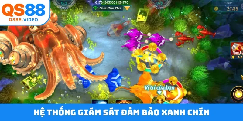 Hệ thống giám sát đảm bảo xanh chín